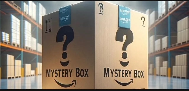 Amazon Mystery Box